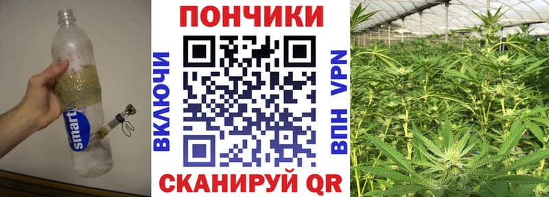 Наркошоп купить A-PVP  МЕФ  ГАШИШ  КОКАИН  Струнино