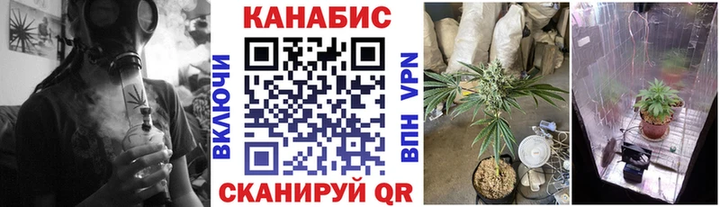 Шишки марихуана семена Купить закладки Струнино